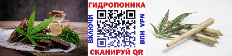 Canna-Cookies марихуана  Новоузенск 
