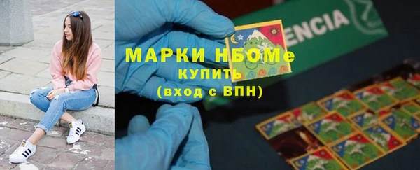 трава Няндома