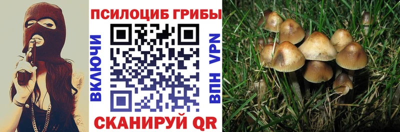 Псилоцибиновые грибы мицелий  Новоузенск 